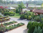 Disznoveny Kerteszet 14