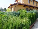 Disznoveny Kerteszet 19